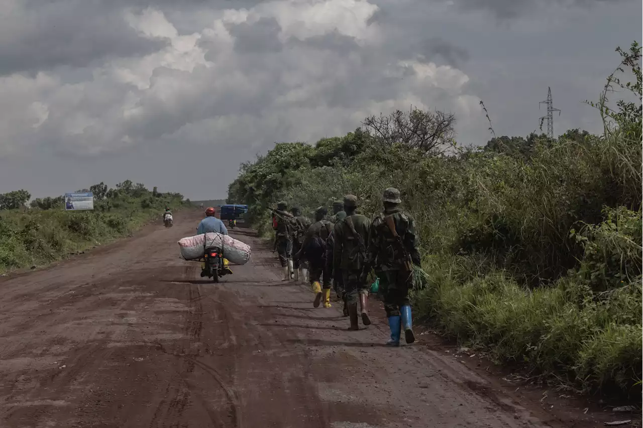 M23 rebels kill 29 civilians in DR Congo since mid-June - HRW | The Citizen