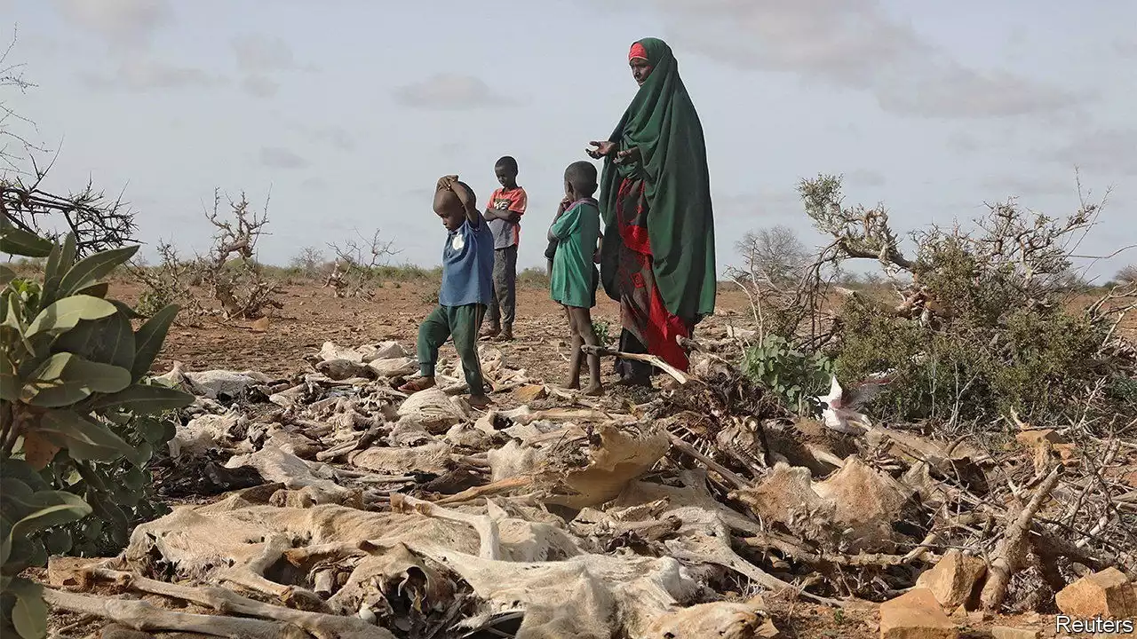 Somalia is on the brink of starvation