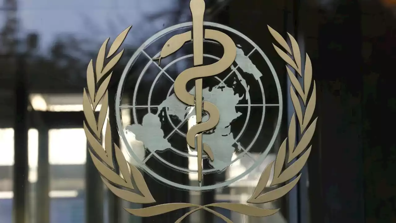 ‘We believe monkeypox outbreak can be stopped’: WHO official