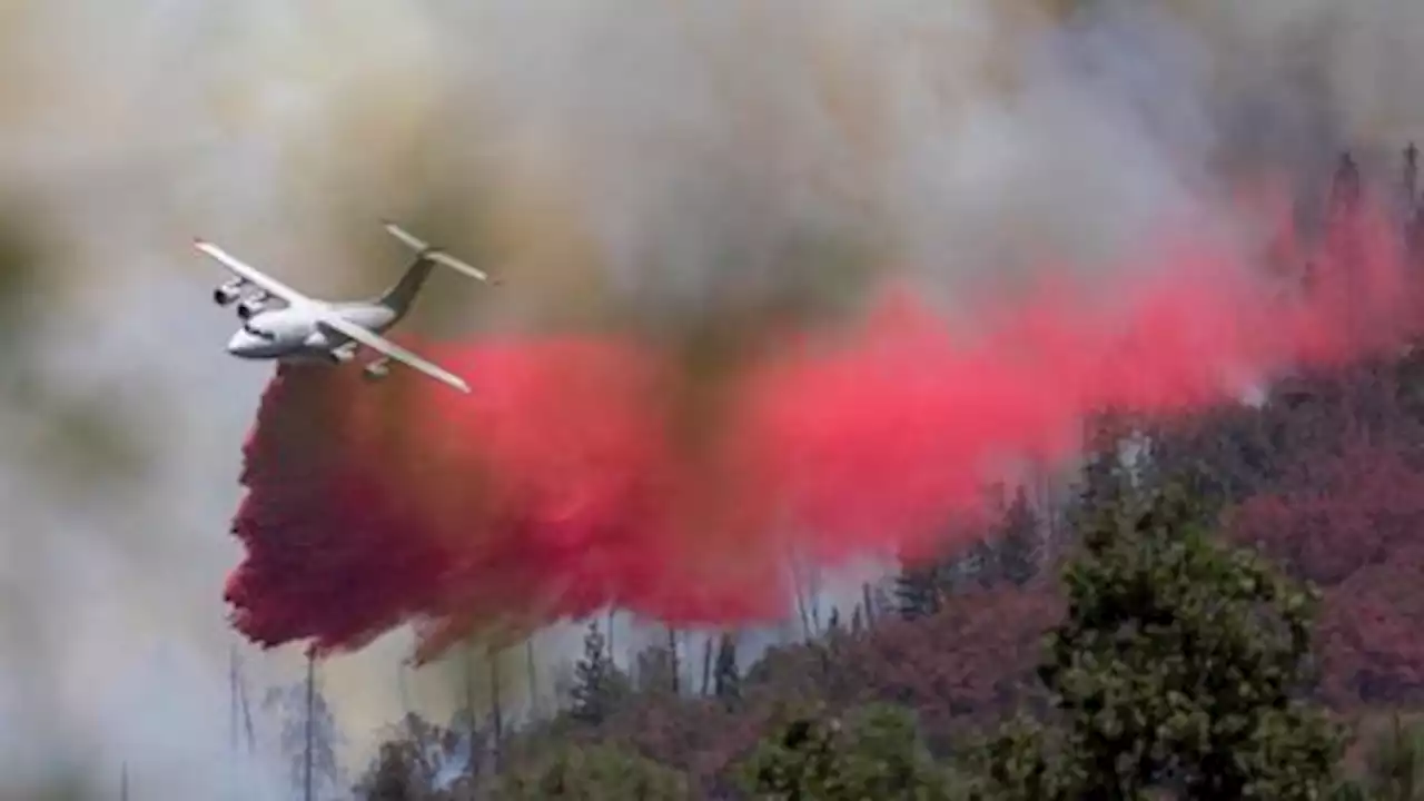 Firefighters begin to slow California wildfire near Yosemite