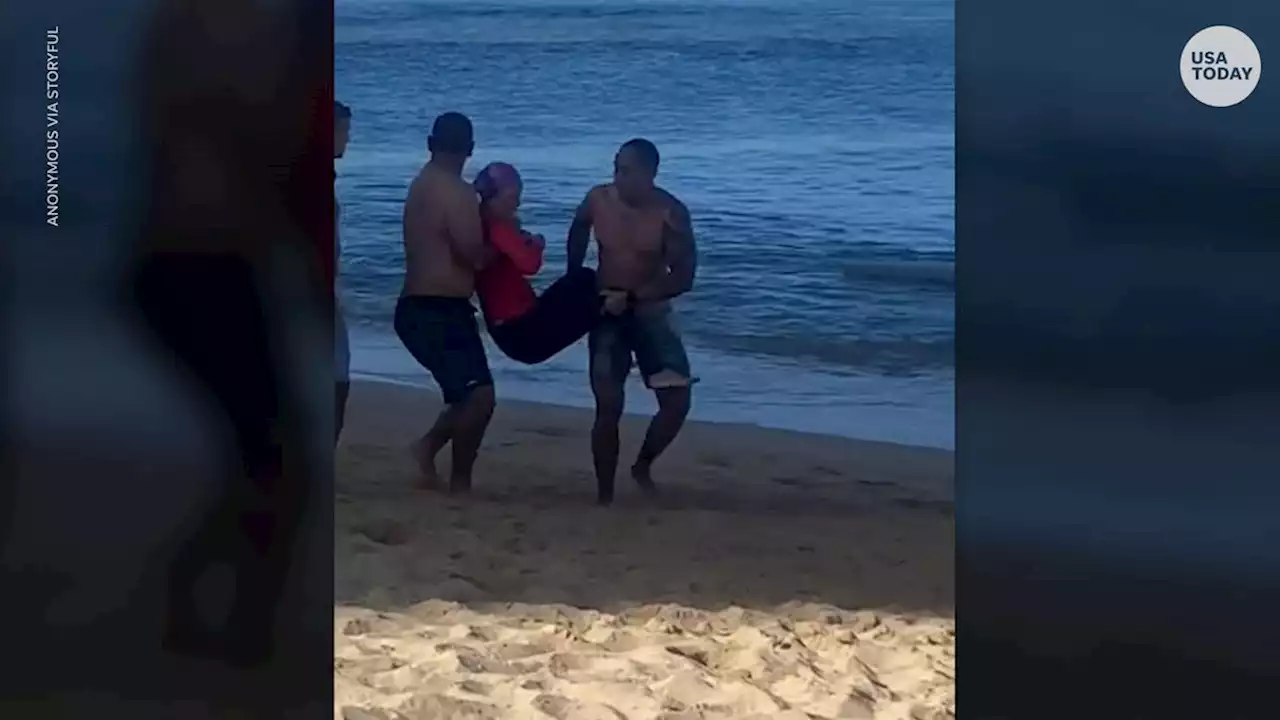 Swimmer attacked by endangered Hawaiian monk seal mother protecting her pup, video shows