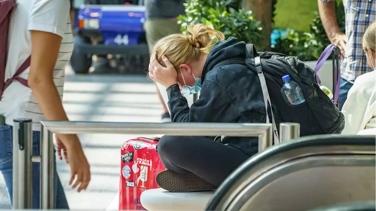 Flughafen-Chaos: Lufthansa streicht fast alle Flüge in Frankfurt und München