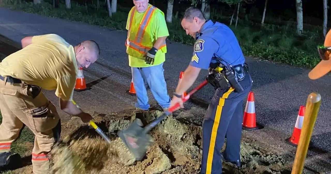 Dog freed after being trapped for 1 week inside New Jersey drain pipe