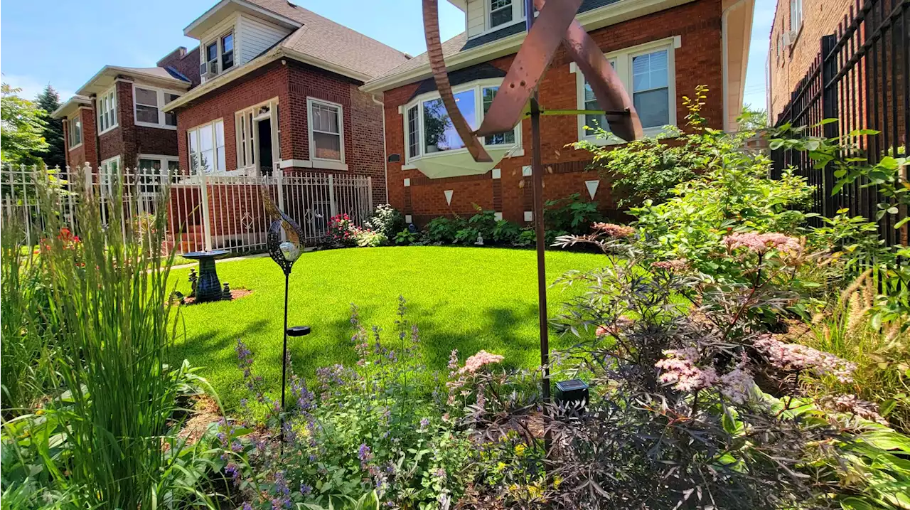 Check Out These ‘Victory Gardens’: Winners Announced in Chicago Bungalow Garden Contest