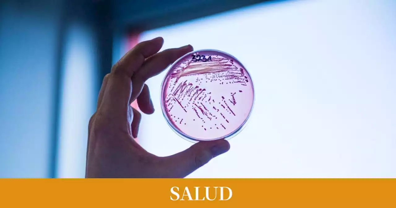 E. coli es la superbacteria resistente a los antibióticos más común en la Unión Europea