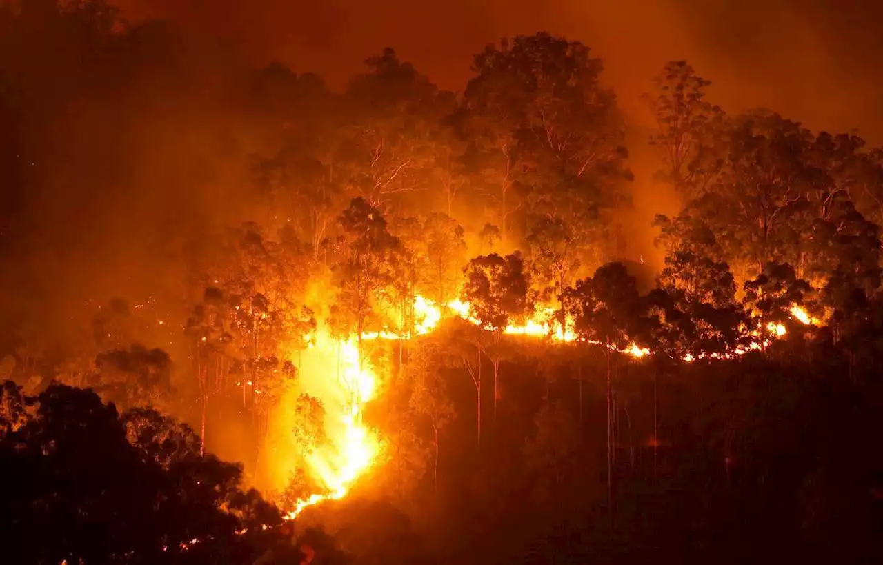 Un pompier pyromane en garde à vue pour des incendies dans l'Hérault