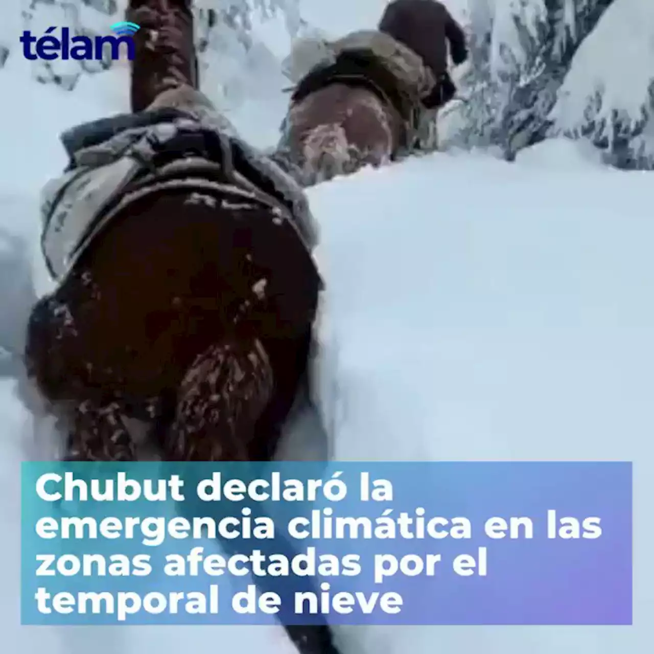 Chubut declaró la emergencia climática en las zonas afectadas por el temporal de nieve