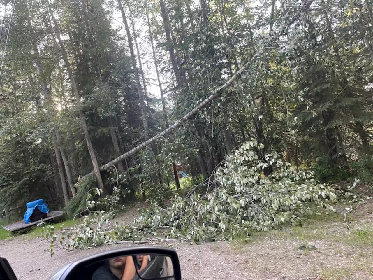 Power restored to thousands of Interior residents after major windstorm - Alaska Public Media