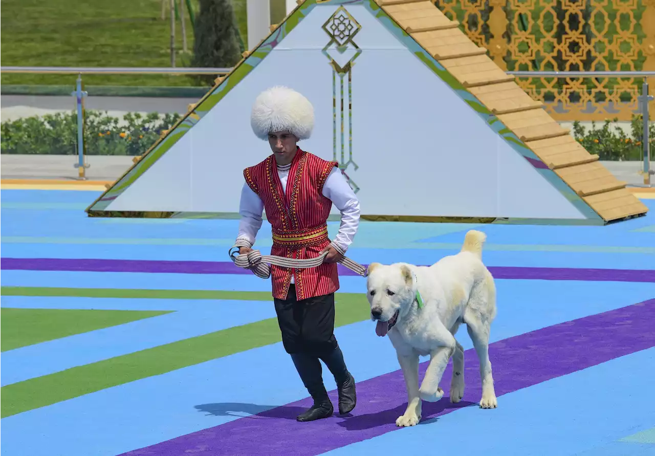 Turkmenistan restricts export of its local Alabay dog breed