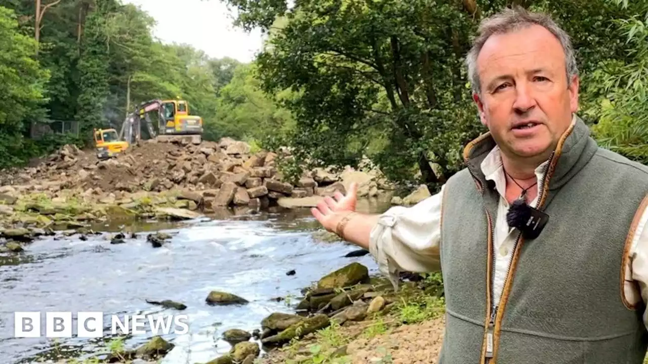 North Yorkshire: River Nidd weir removal aims to boost wildlife