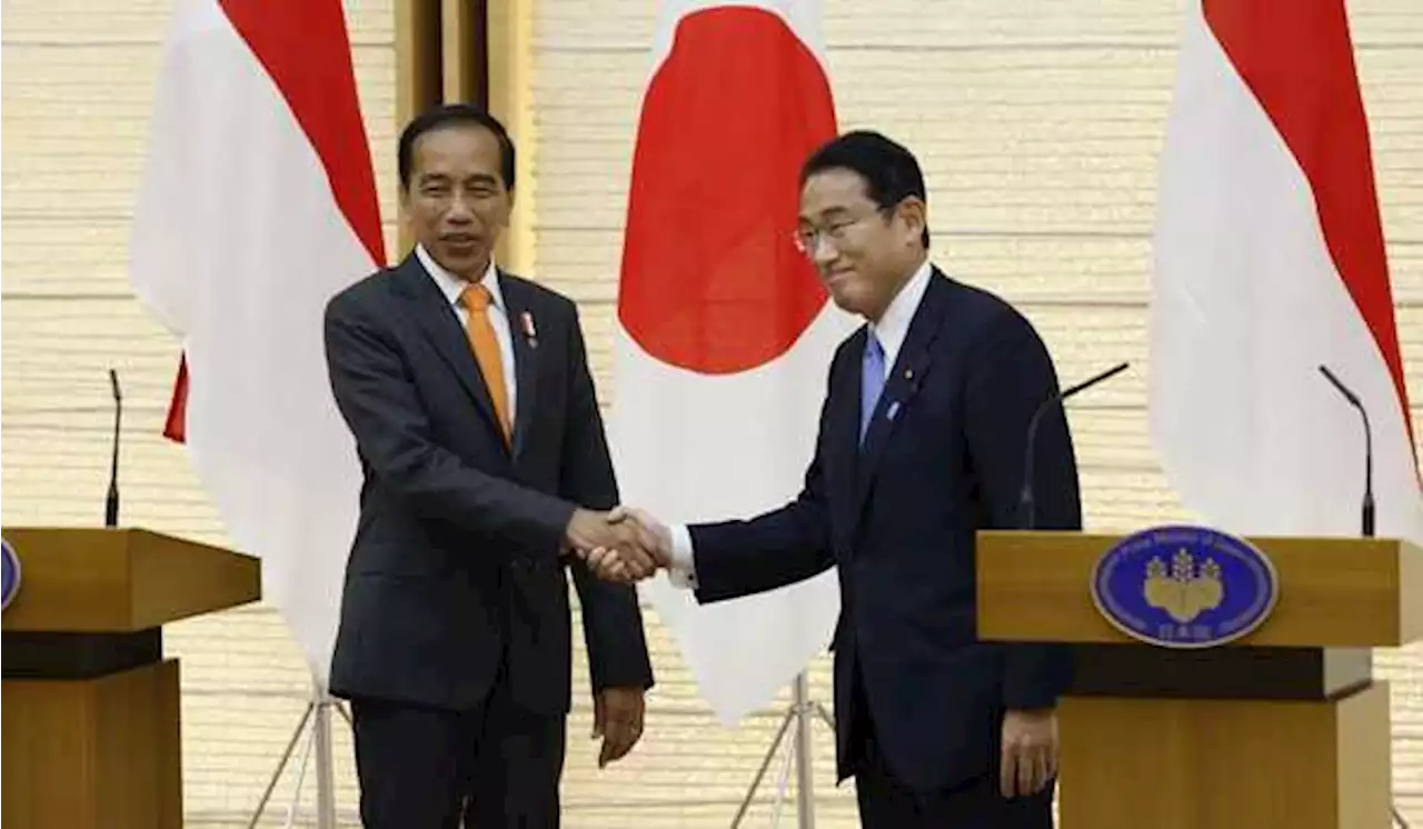 Pertemuan Jokowi-Kishida, RI-Jepang Perkuat Hubungan Jelang KTT G-20