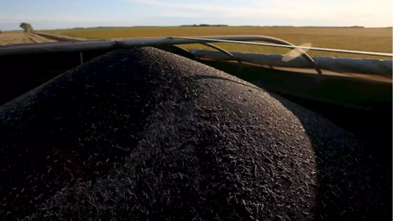 Trudeau spars with farmers on climate plan cutting fertilizer, grain output - BNN Bloomberg