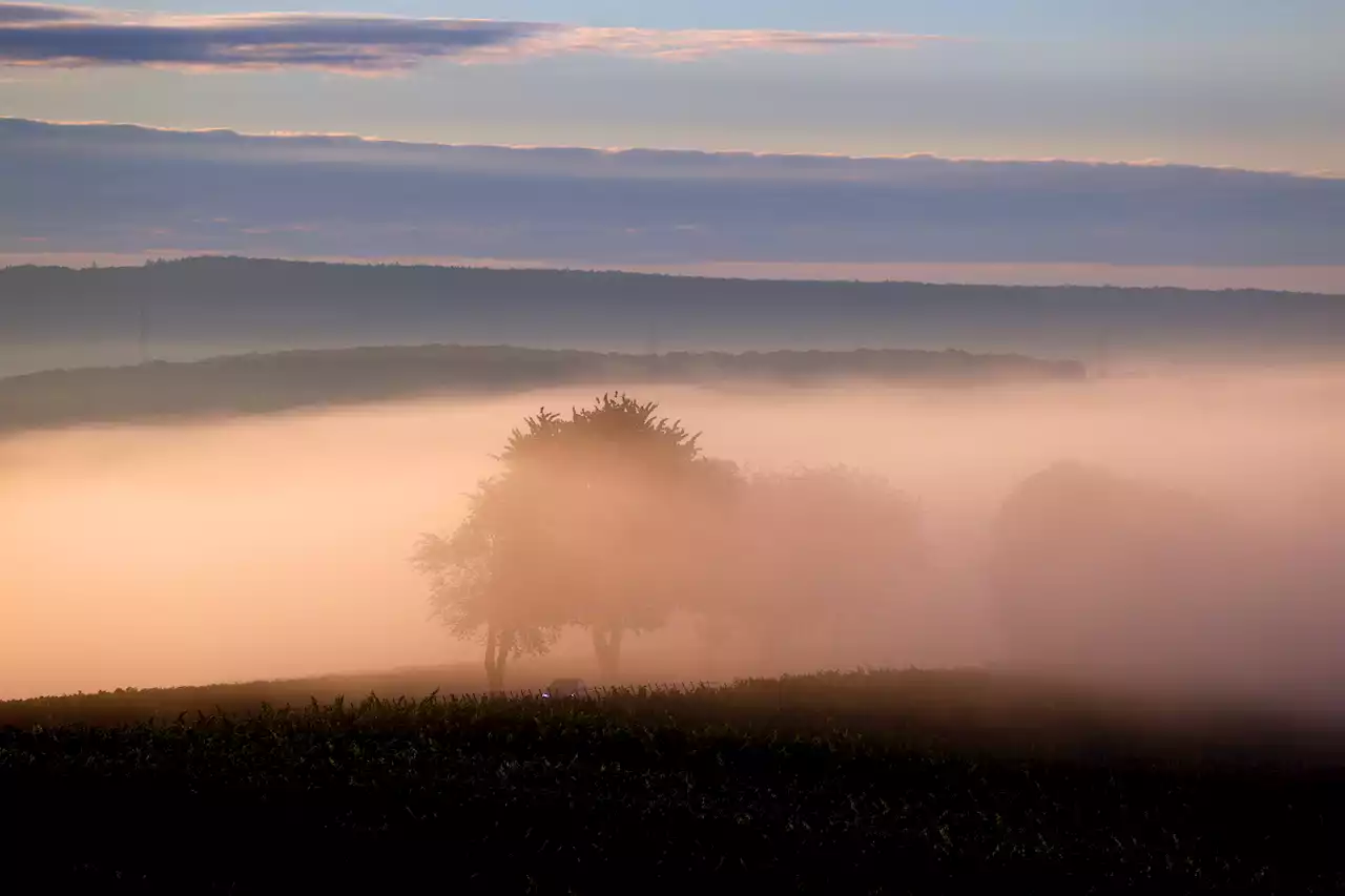 Regen nur im Süden Bayerns – Waldbrandgefahr im Norden