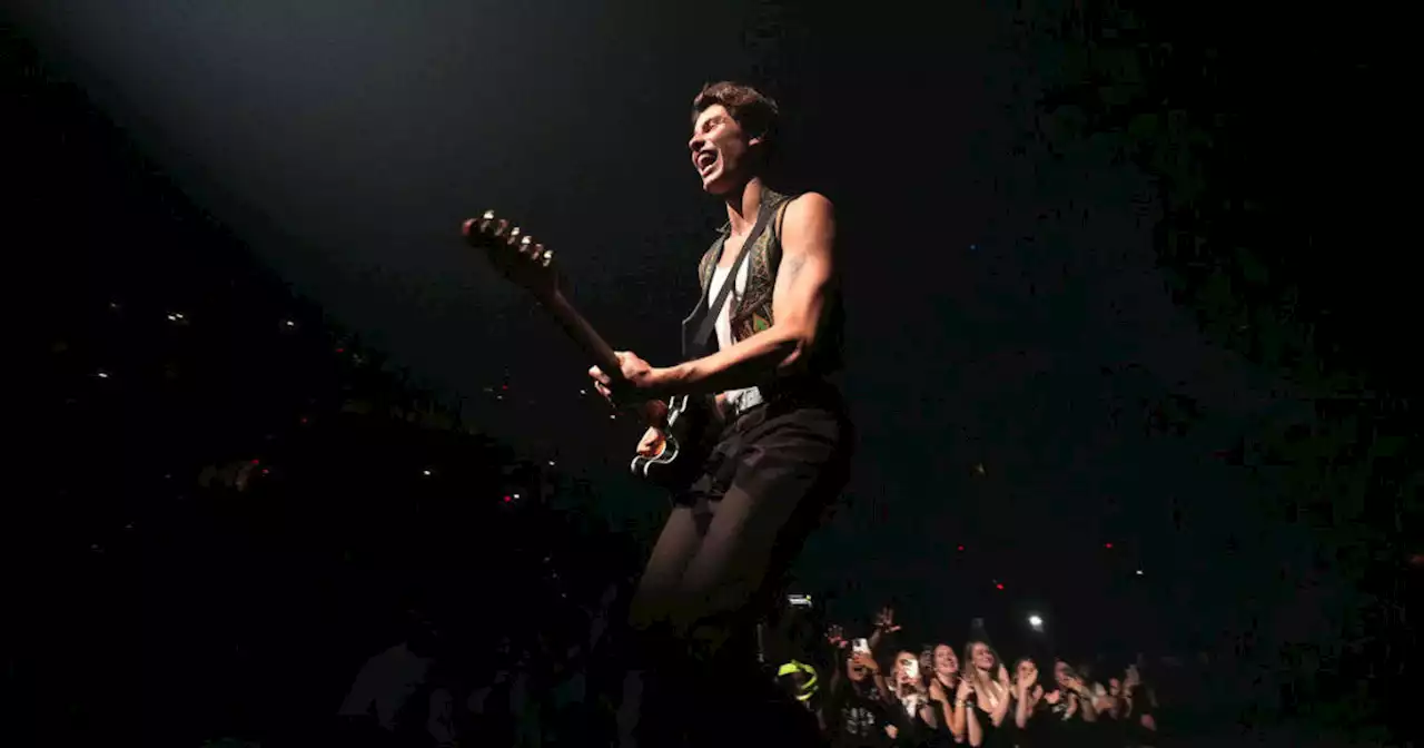 Shawn Mendes cancels world tour: 'I have to put my health as my first priority'