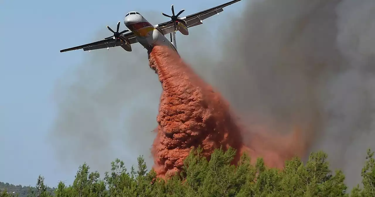 En fotos: un nuevo incendio en el sur de Francia arrasa con 1000 hectáreas de bosques y viñas