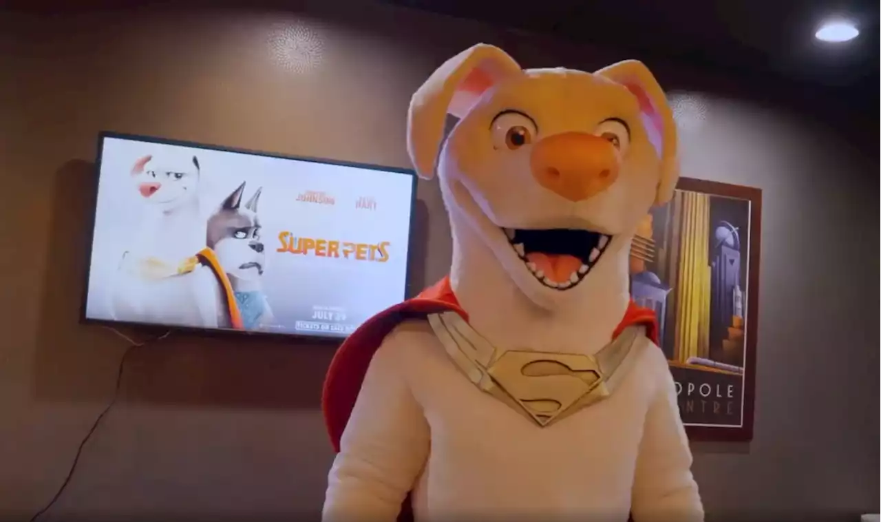 Watch Dwayne Johnson Give Audiences Heartwarming Surprise at DC's Super-Pets Screening