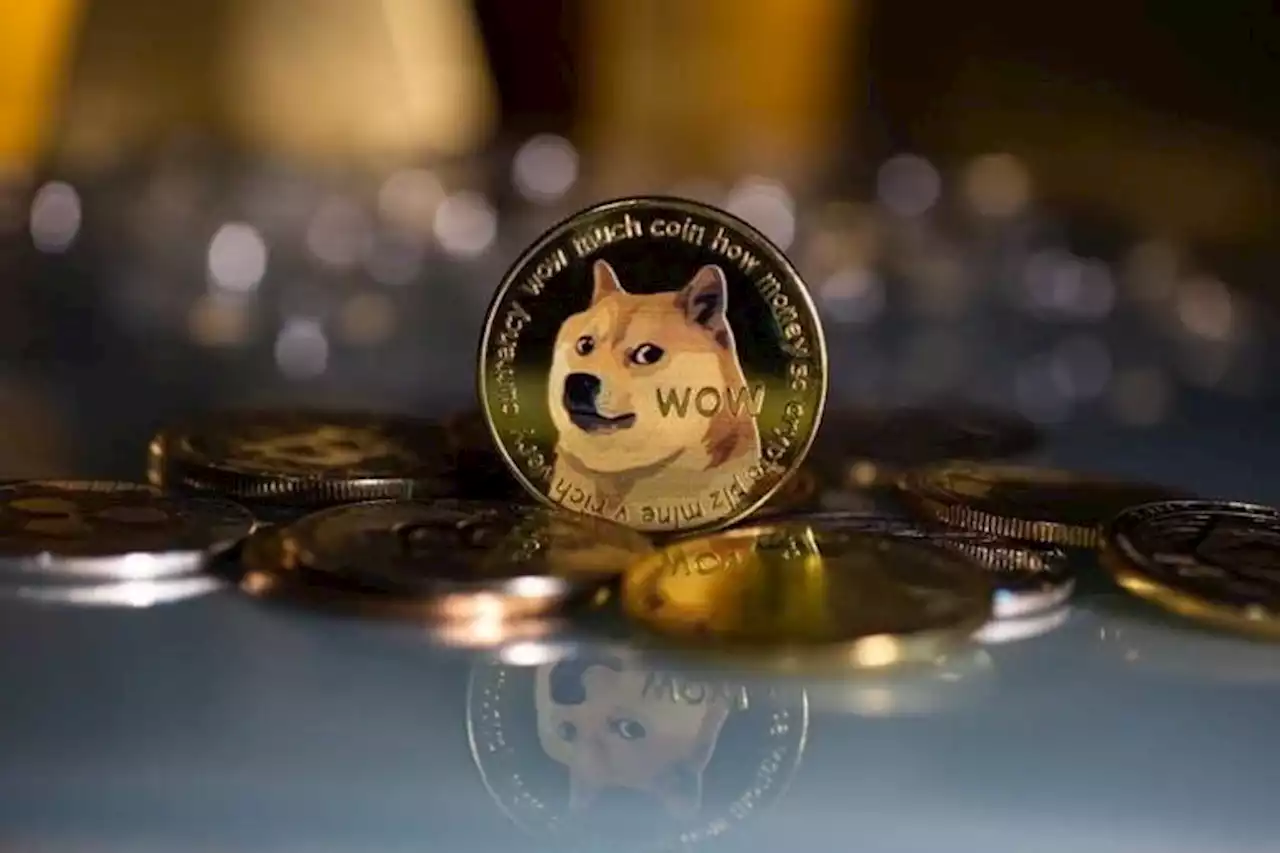 Can DOGE hit $1 by December 2022? Here’s what the experts say