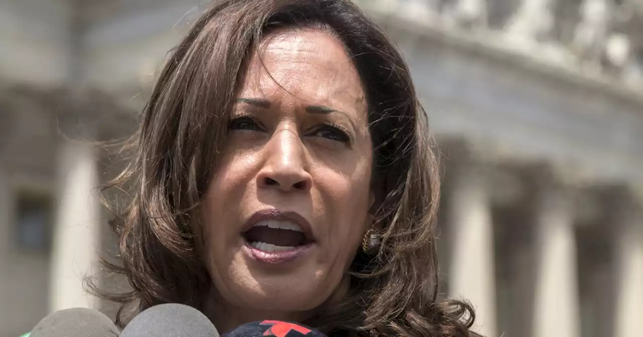 Kamala Harris, czar of disinformation