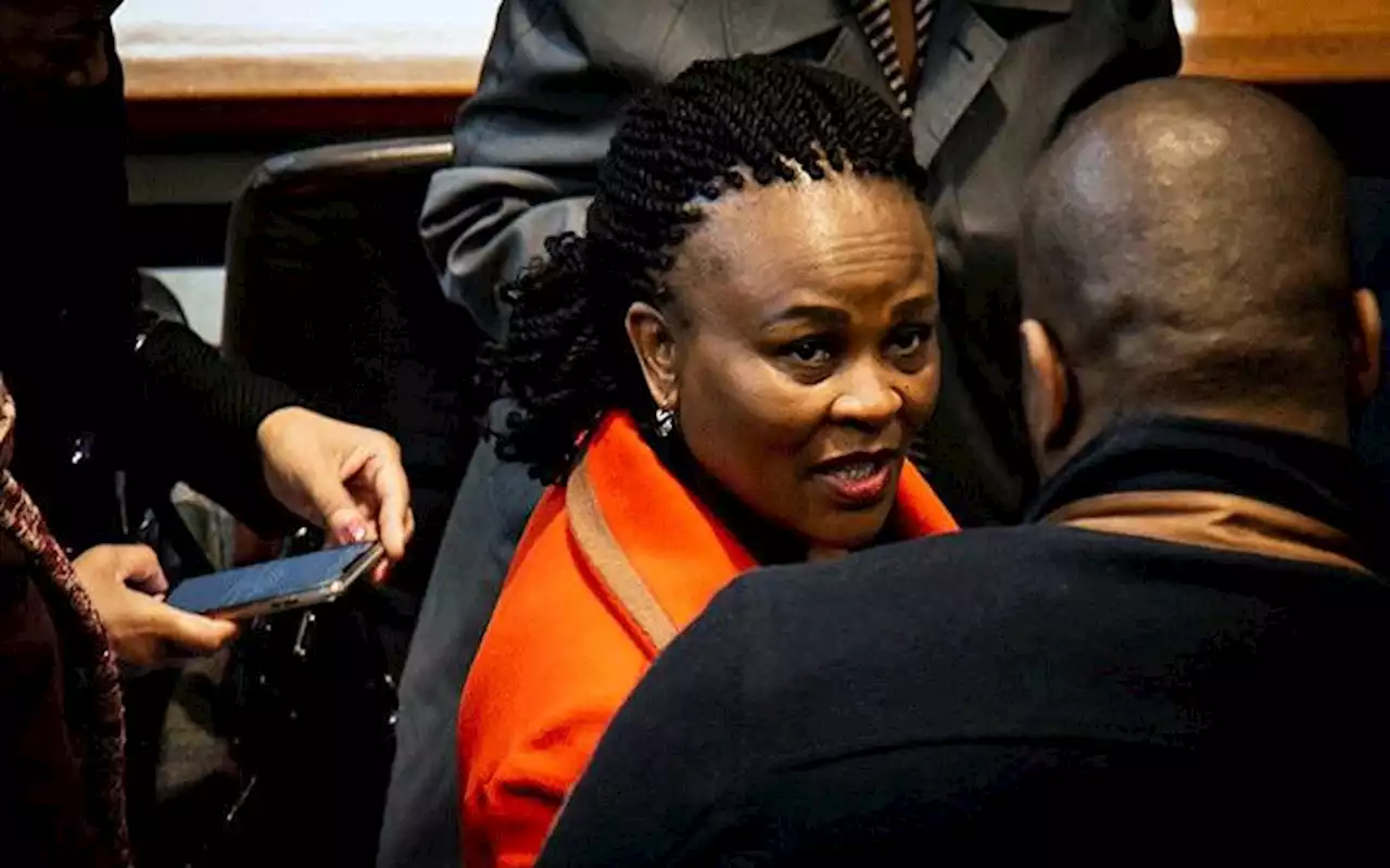 Mkhwebane declined subpoenas for politicians in Vrede farm probe, Parly hears