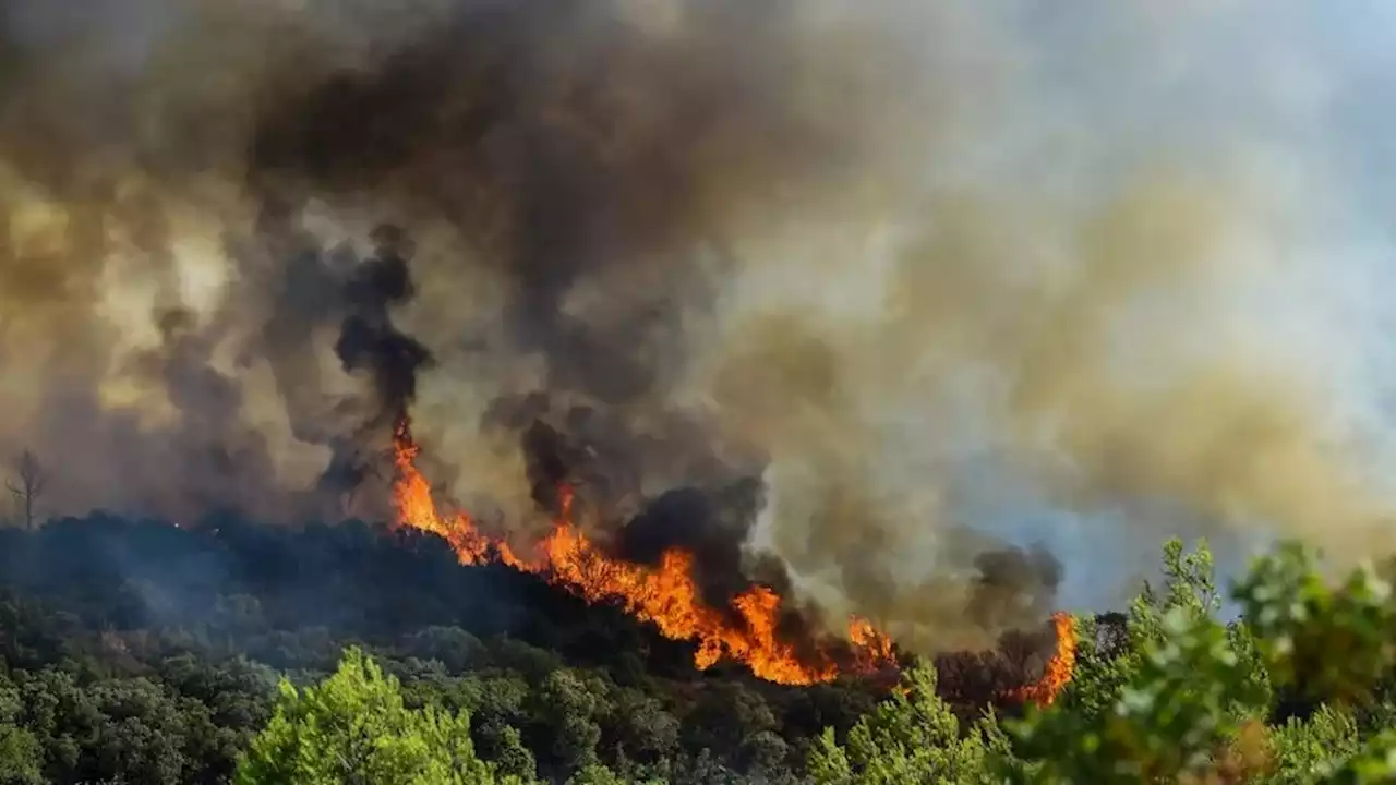 Incendies dans l'Hérault : un sapeur-pompier volontaire placé en garde à vue, accusé de 'dégradation volontaire par incendie'