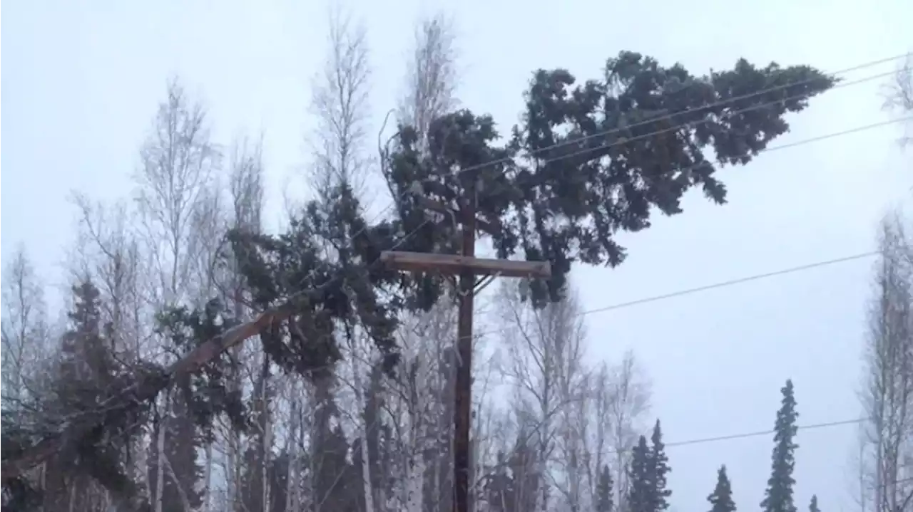 Wind gusts and Golden Valley Electric Association power outages