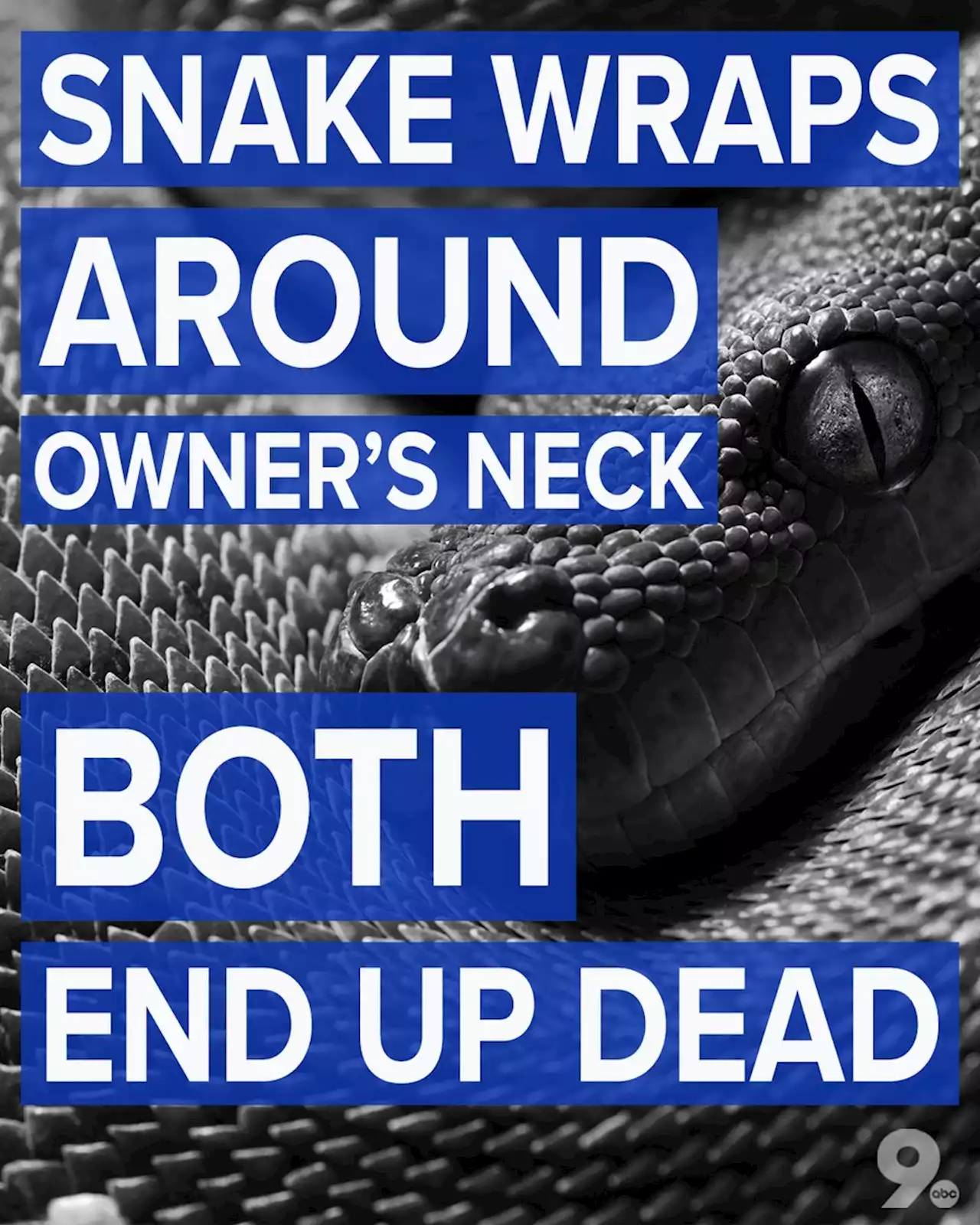 Police: Man whose pet snake wrapped itself around his neck has died