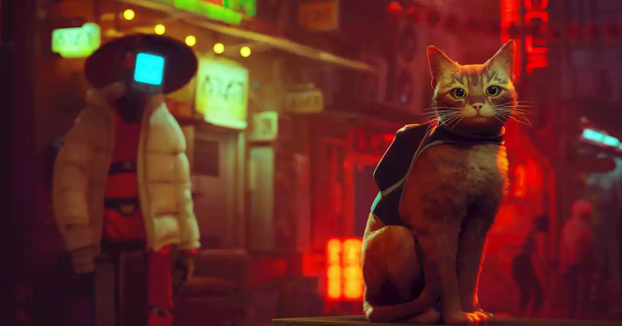 'Stray' brings feline fantasies to life in creative action-adventure