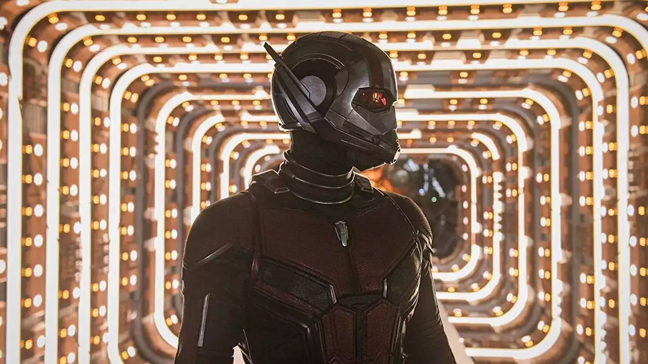 „Ant-Man 3“: Start von Phase 5 soll das MCU für immer verändern