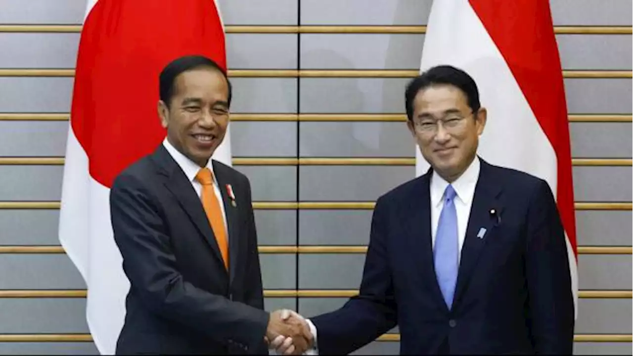 Jokowi Bertemu PM Fumio Kishida, Ajak Jepang Investasi Teknologi Hidrogen dan Amonia