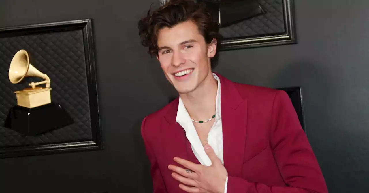 Shawn Mendes cancels the rest of his tour: 'I have to put health as my first priority'