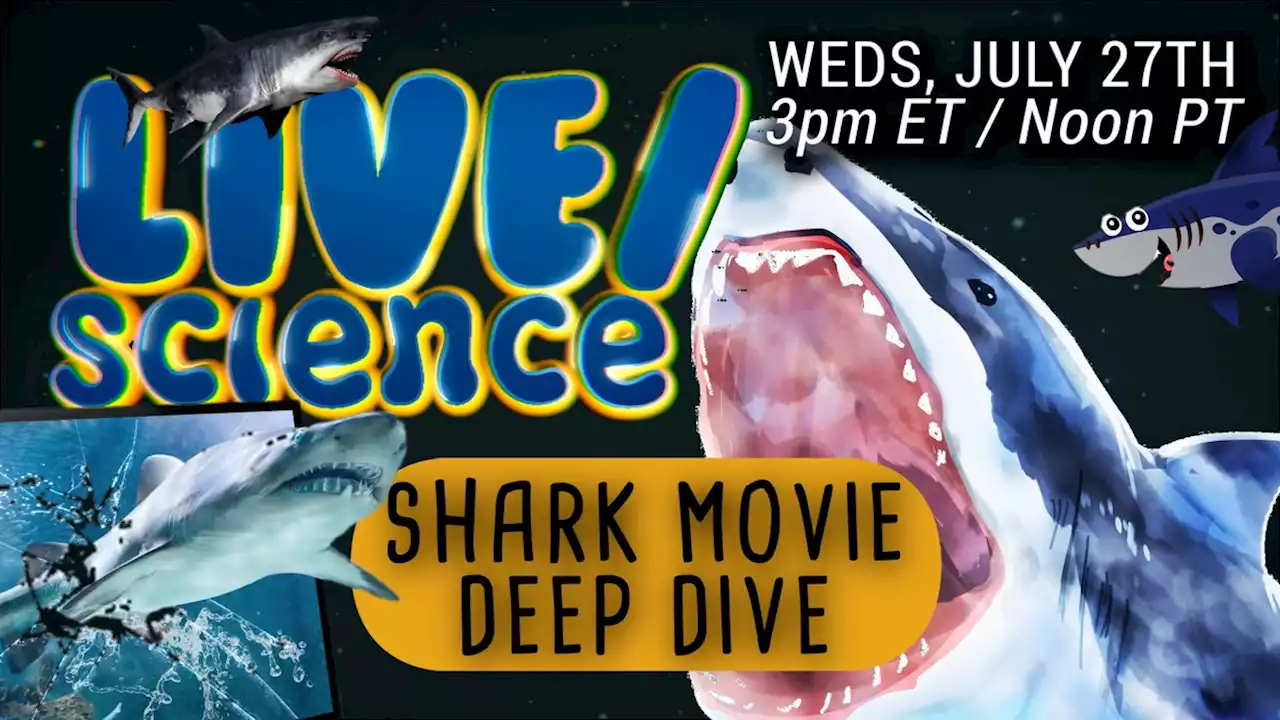 LIVE/science: Shark Movie Deep Dive