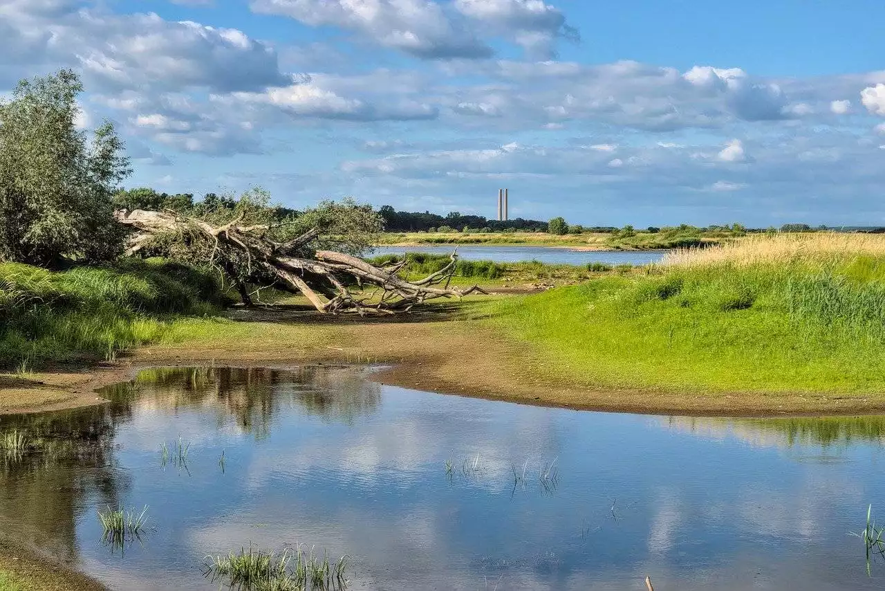 Climate change, health challenges to shape next 20 years: Australian report