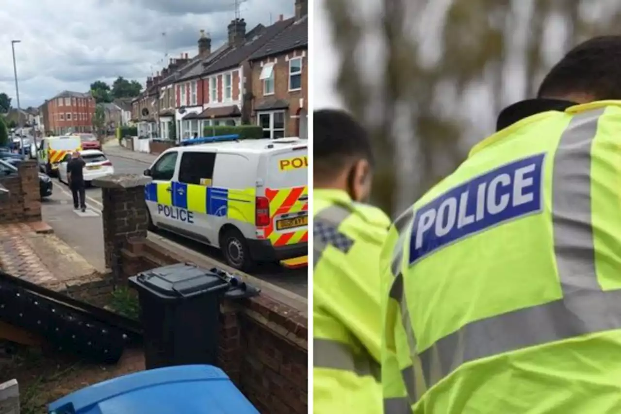 Cannabis factory busted near Watford town centre