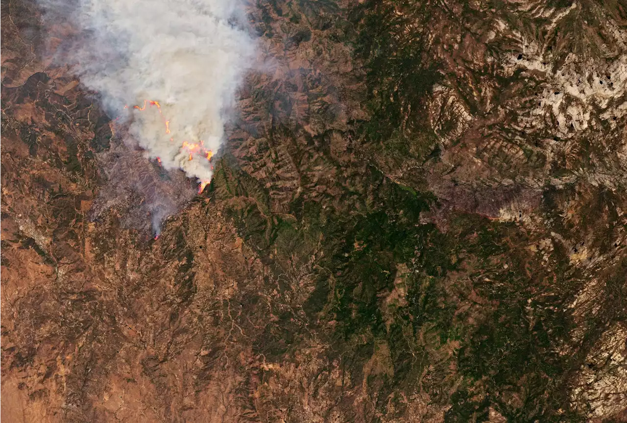 A hellish combination of topography, weather, and fuel stir the Oak Fire