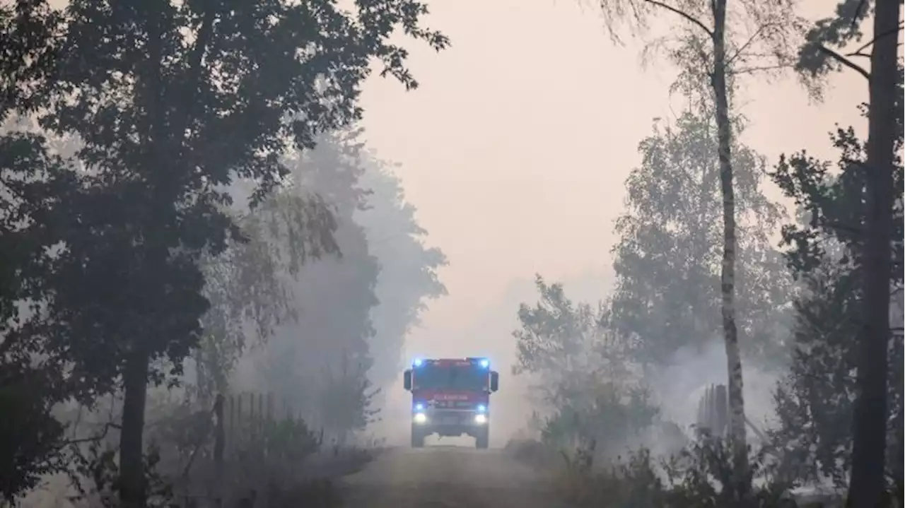 Lage im Waldbrandgebiet in Elbe-Elster entspannt sich etwas