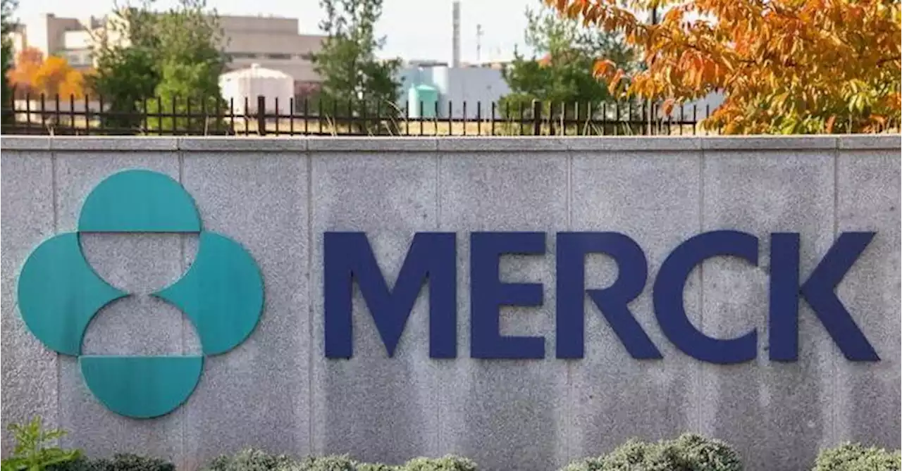 Merck avoided billions in U.S. tax by offshoring Keytruda profits - senator