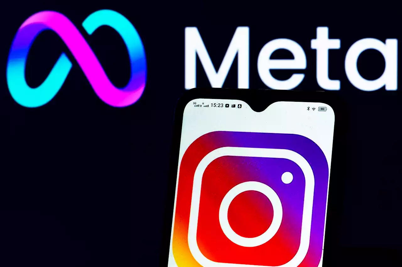 How Are Trans Bodies Monitored on Instagram? Meta's Oversight Board Takes Up Its First Gender Identity Case