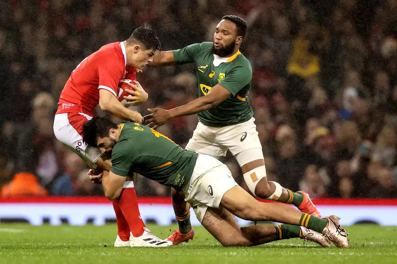 Boks vs All Blacks: Midfield mastery on offer