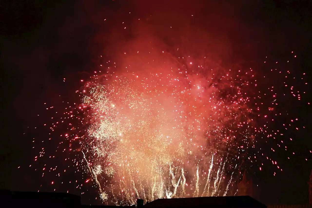 Kanton Bern verbietet Feuerwerk - Schweizer Bauer