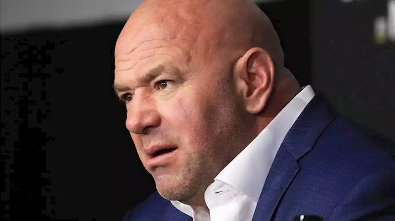 Россиянин шокировал главу UFC. Ворвался в клетку во время поединка и выгнал бойцов