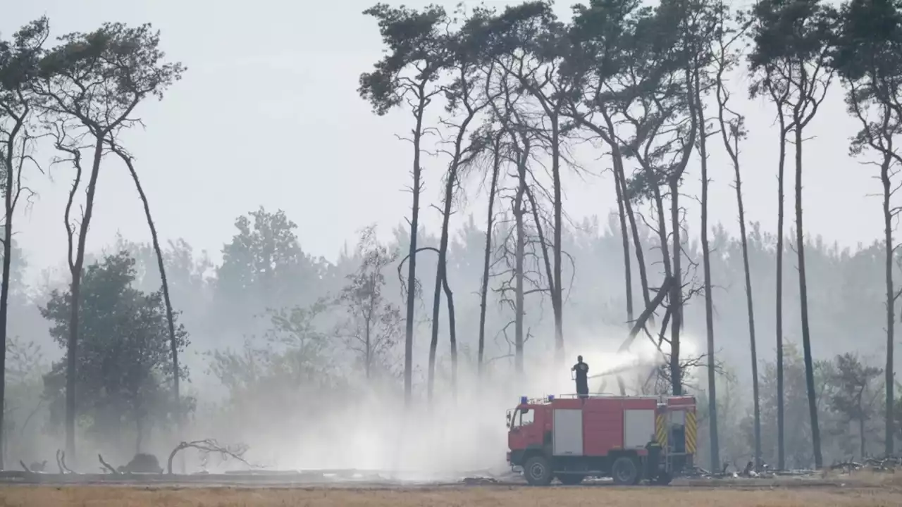 Hitzewelle in Europa: Lage bei deutschen Waldbränden