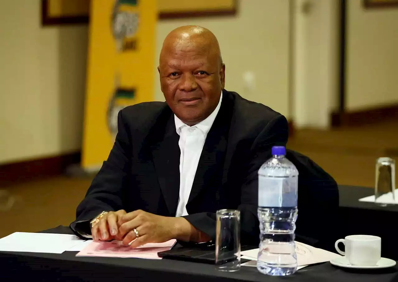 'The ANC must renew for its own survival' - Jeff Radebe | The Citizen