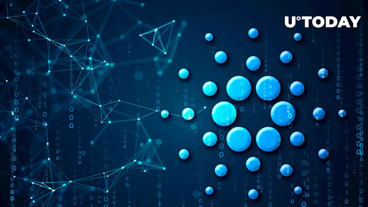 Here Is How Cardano-Based New Digital Economy Is Developing: Details