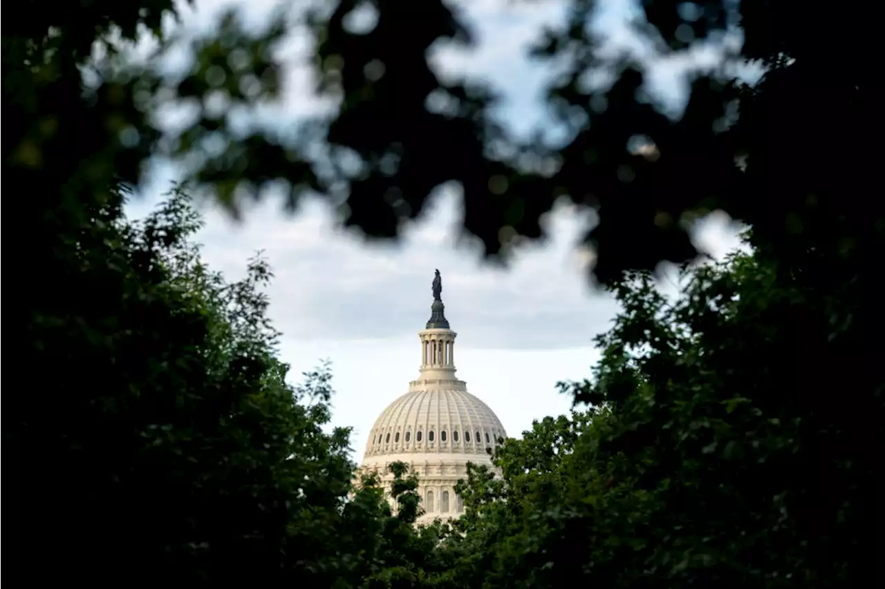 New Harvard study concludes U.S. Capitol rioters were primarily motivated by Trump