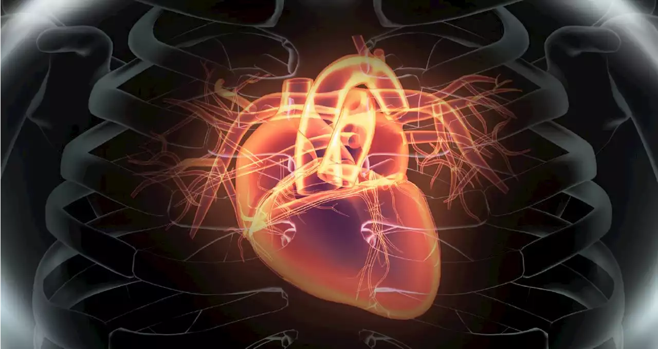 Researchers Discover How COVID-19 Damages Heart