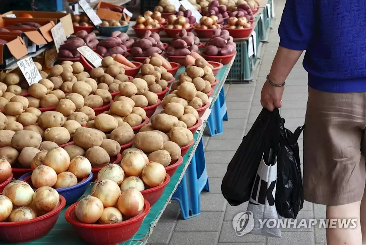 '장보기 두렵네'…여름철 농산물 가격 '껑충' | 연합뉴스