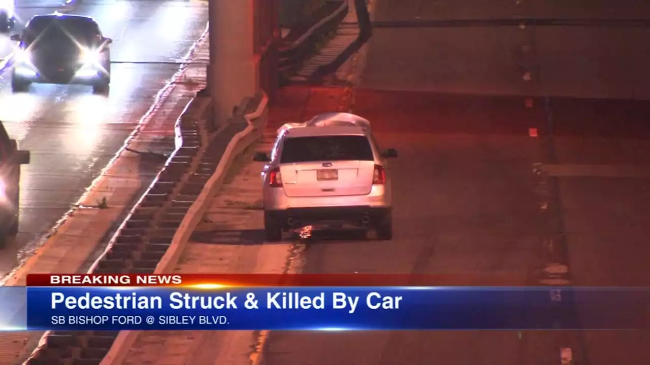 Pedestrian struck, killed on Bishop Ford Freeway at Sibley Boulevard