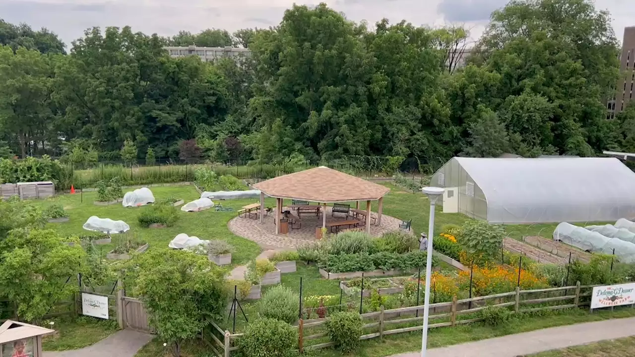 Main Line Health hospital is fighting food insecurity with a farm built in its parking lot