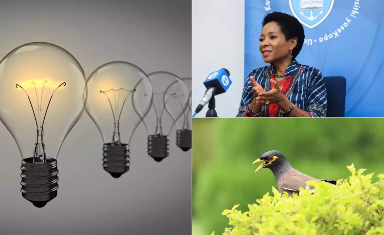 South Africa: Eskom Asks SADC For Electricity Help - What's Happening In South African News, July 28, 2022