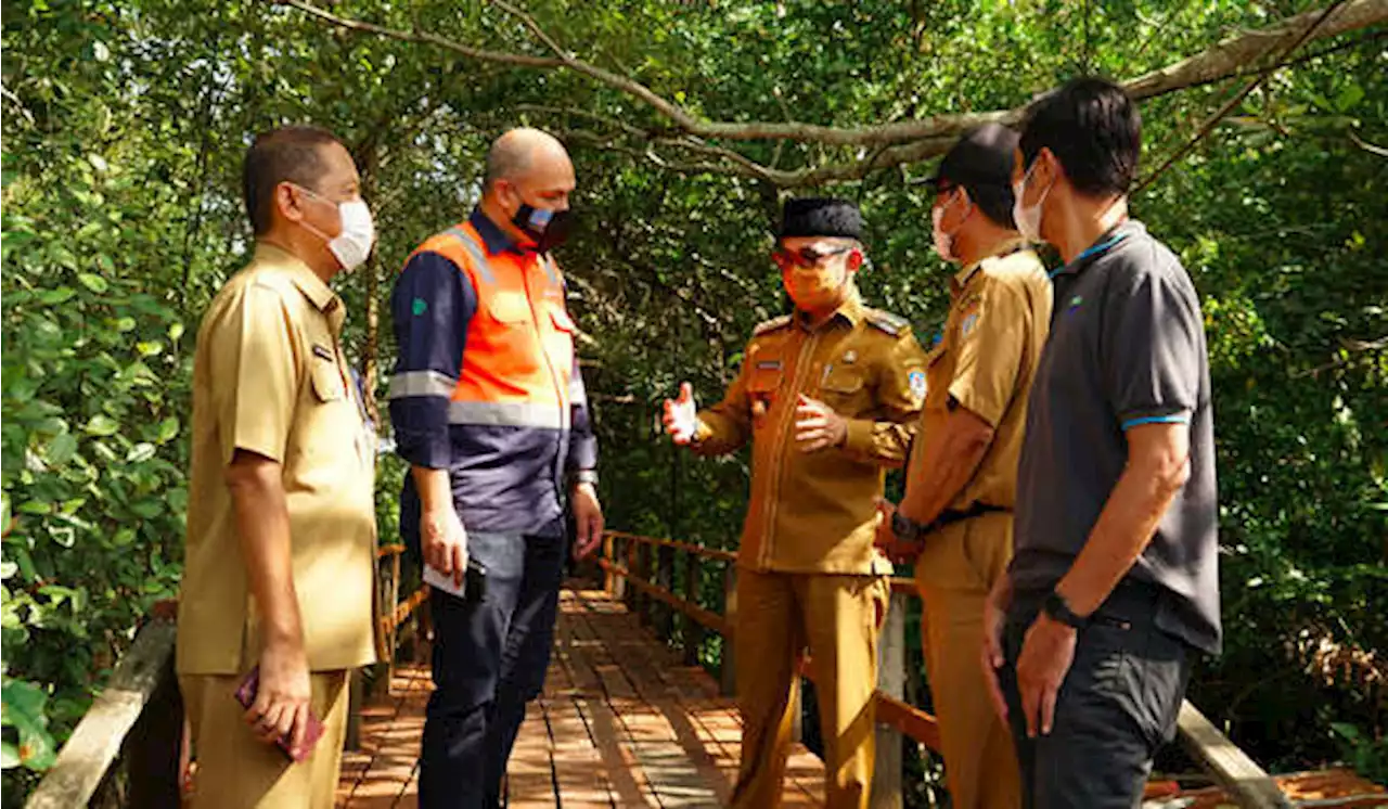 Hari Mangrove Sedunia, SSB Luncurkan Program CSR Saya Sayang Bumi